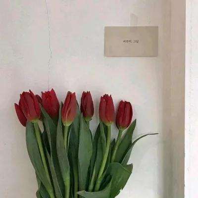 重构阿塔提斯哔哩哔哩版下载